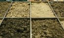 carbon soil compressed
