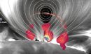 a large solar flare