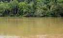 muddy water in the Monongahela River