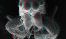 A jumping spiderâs fangs in 3D
