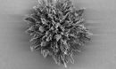 spiky nanoparticle