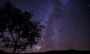 stardust
