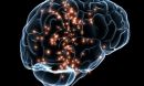 A new study shows that an antibody treatment could help traumatic brain injuries.