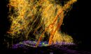 the vorticity field of a multiple vortex EF5 tornado embedded within a supercell thunderstorm