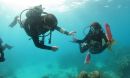 Scientists Dusty Kemp and Meredith Meyers under water in the Florida Keys.