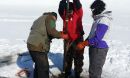 researchers collect a core sample