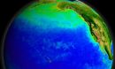 The Pacific Oceanâs currents support a diverse ecosystem, seen here from space, with green indicating blooms of photosynthesizing plankton