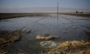 A field in the California Central Valley being fed via flood irrigation.