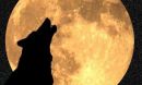 Silouette of a howling wolf with a full moon in the background.