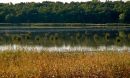 A dot on a map of the United States, Cherokee Marsh in Wisconsin is central to the Yahara watershed.