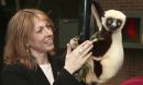 Photo of Duke University Lemur Center director Anne D. Yoder with a Coquerel's Sifaka.