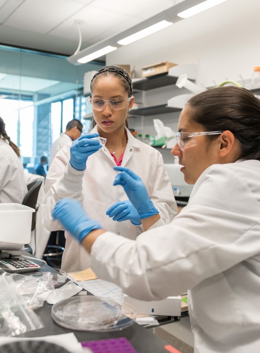 Information for Students