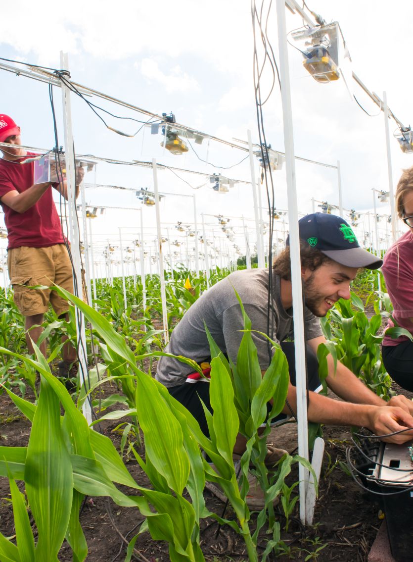 Search the Directory of REU Sites