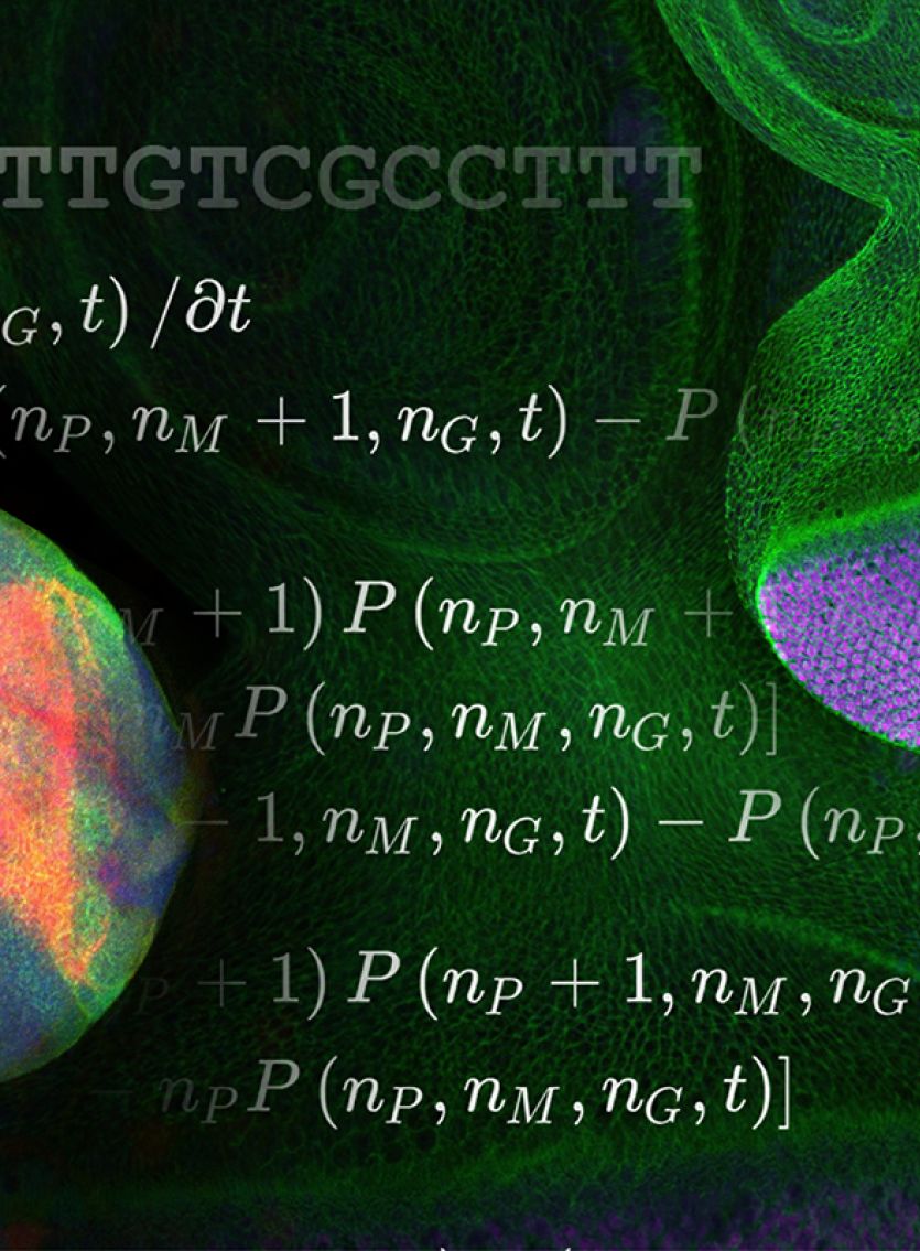Mathematics