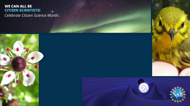 Virtual background - campaign - Citizen Science Month