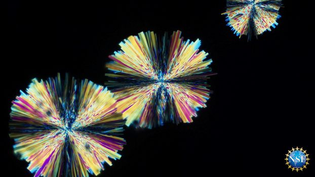 New crystal form of imidacloprid insecticide