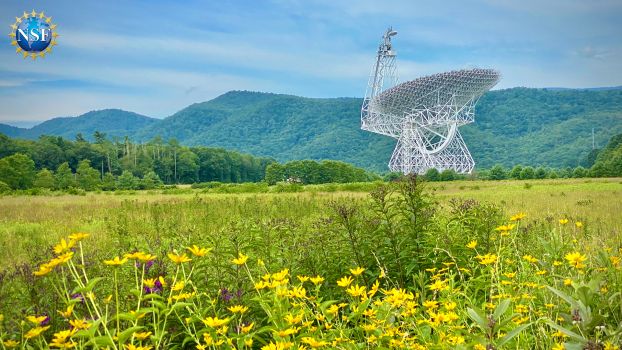 Green Bank Telescope in the summer with a field of flowers in the forefront
