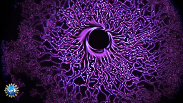 abstract Medusa' shaped droplets containing liquid crystal molecules