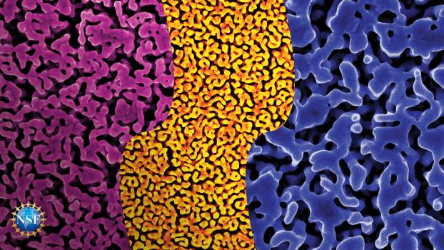DNA from other biomolecules in pink, yellow and blue colors