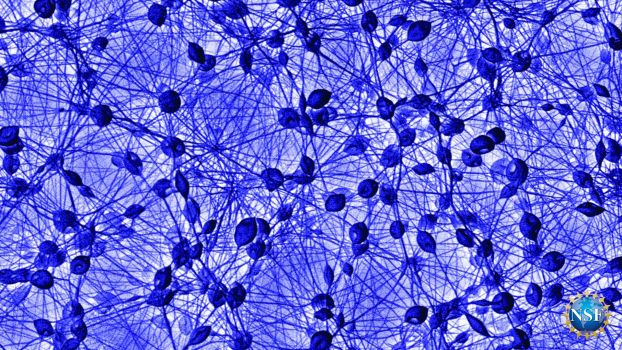 Electrospun polymer microfibers, "String Theory"