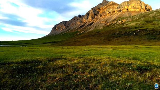 A rocky outcrop rises over the Alaskan tundra.