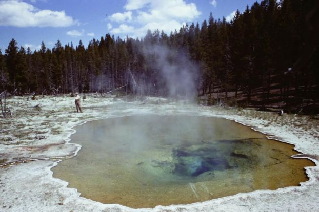 Brock at mushroom pool