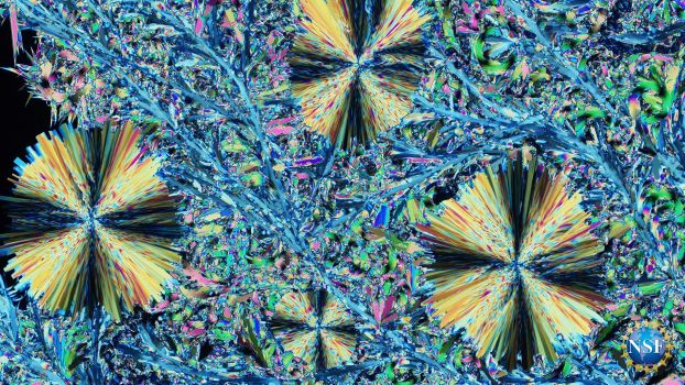 New crystal form of imidacloprid insecticide