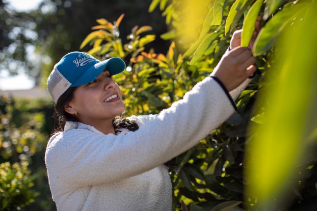 ATE Impacts 2022-2023 Flipbook Images