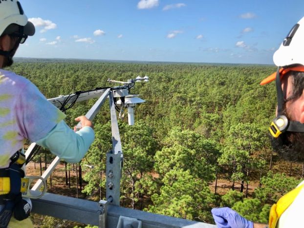 Two biologists stand on top of a research tower above a forest.
