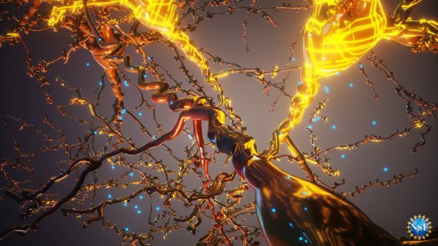 3D rendering neurons