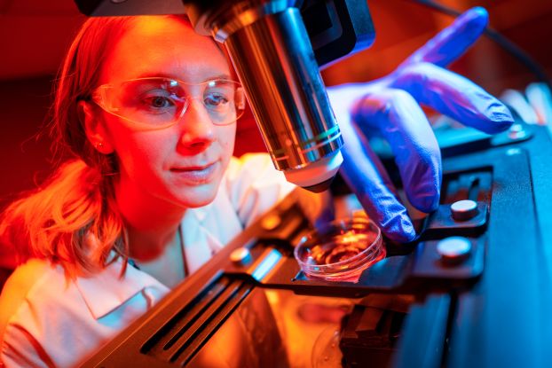 A researcher at UC San Diego, studying human brain organoids, centers a petri dish under a microscope