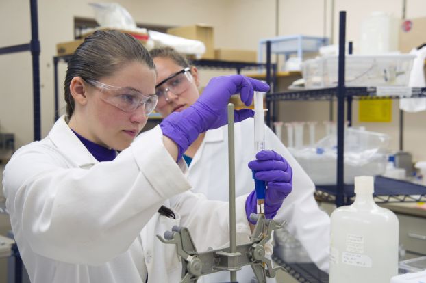 Two researchers working in a lab