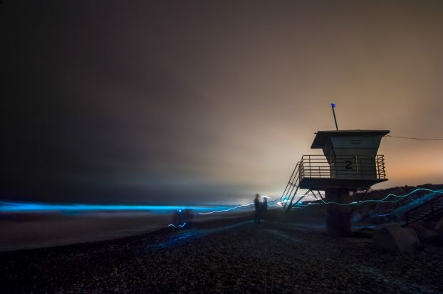 Bioluminescence from red tide lights the waves blue
