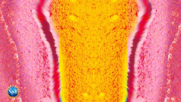 abstract lines in this image echo the sinuous shape of a single strand of DNA