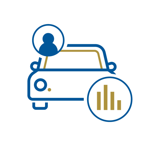 Data_people_auto_2_color