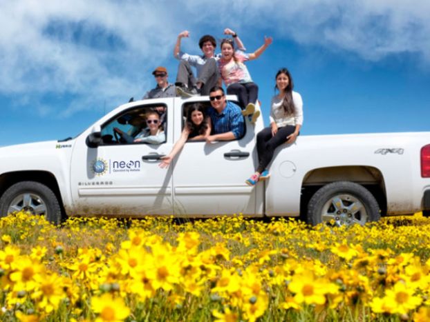 Eight smiling interns posing in and on a white pickup truck in a field of yellow flowers with a bright blue sky overhead.