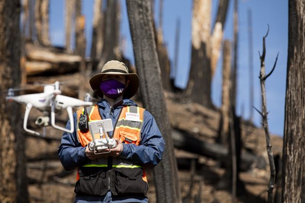 In a forest decimated by wildfire, a small drone hovers in front of a researcher holding a drone controller.
