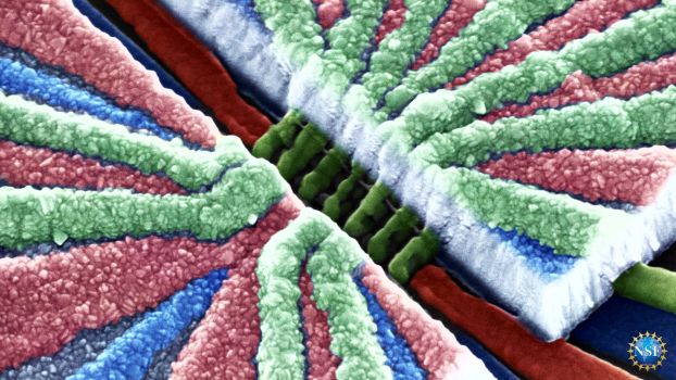 abstract image with a collage of colors including green red and blues