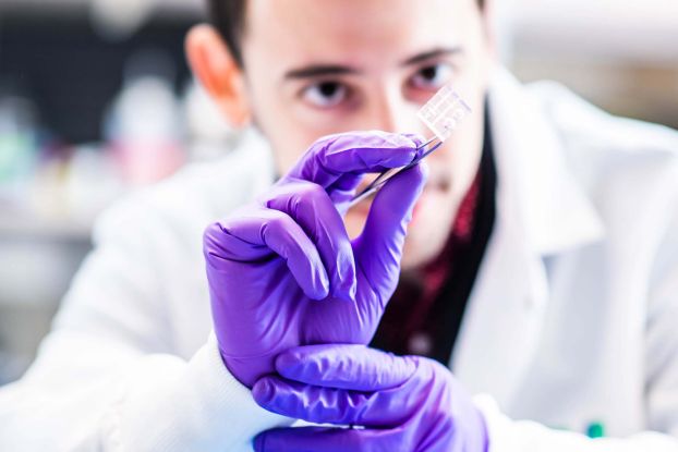 A gloved researcher holds a translucent object with tweezers.