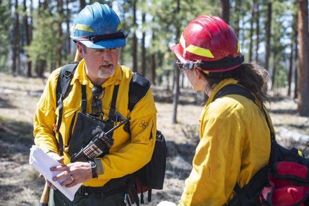 Two people in a forest wearing hard hats