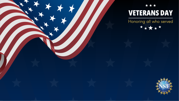 Veterans Day Honoring all who served Zoom Background graphic.