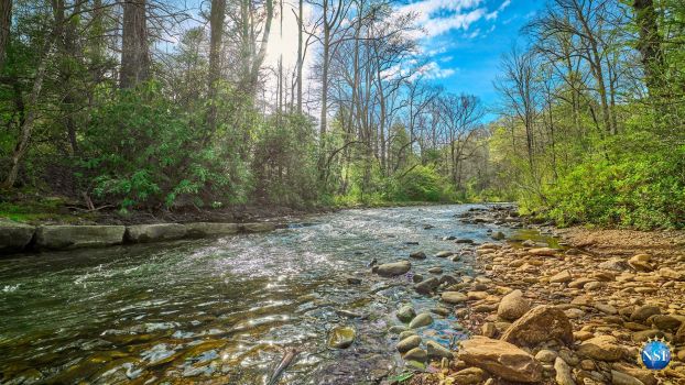 Mills River in the Pisgah National Forest, North Carolina