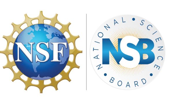 NSF and NSB logos