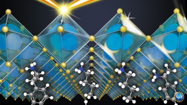 2D hybrid organic-inorganic perovskites