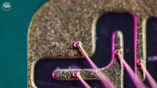 microchip