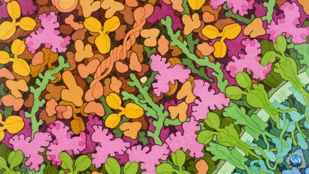 This illustration shows an abstract array of colors to demonstrate a vaccine that was designed using a new method called germline targeting that stimulates the immune system to produce broadly neutralizing antibodies against HIV.