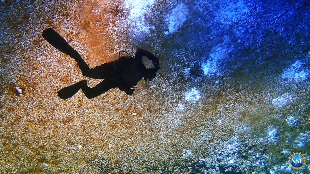 a swim diver in water with ice above their head