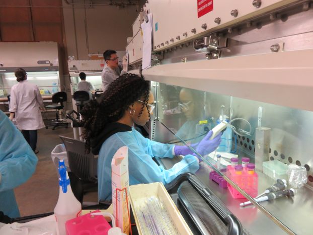 Student doing research at the Next-Generation National ATE center