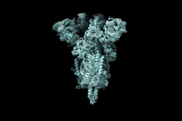 A 3D model of a protein depicting how its polypeptides cluster to take on the protein's overall shape.