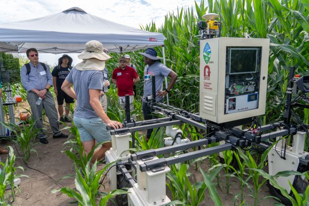 A group of people observing a robotics demonstration in a corn field.